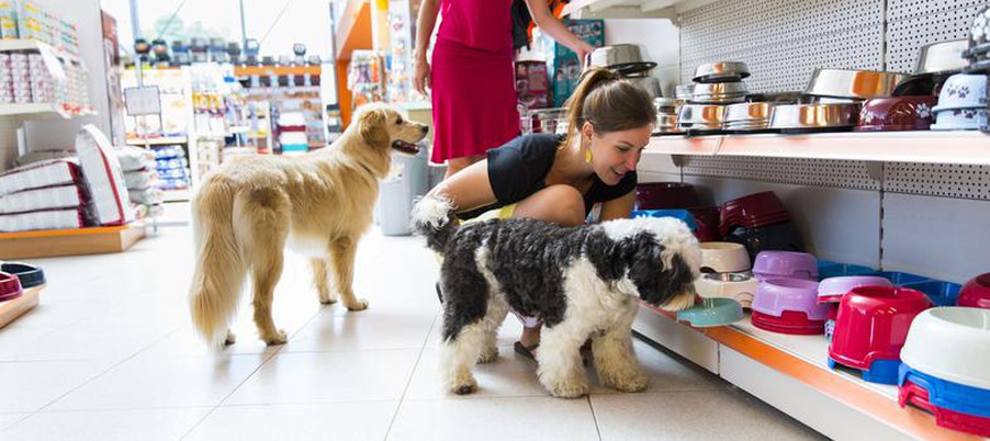 O crescimento gigantesco do mercado pet