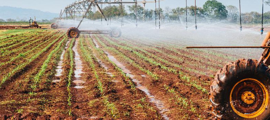 Conheça o ciclo de produção do Agronegócio